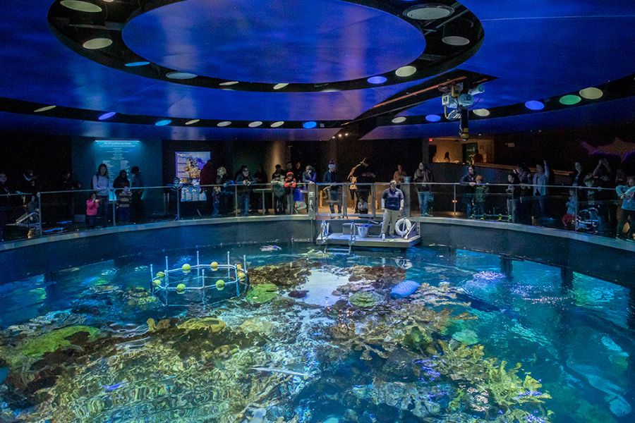 Inside of New England Aquarium, points to museum pass page.