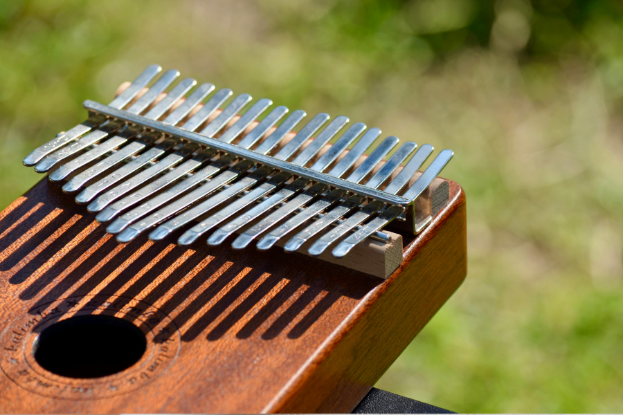 A musical instrument, points to place a hold on a musical instrument at the Main Library.